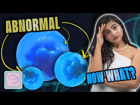 IVF with PGT: Is there any hope if all your embryos were abnormal?