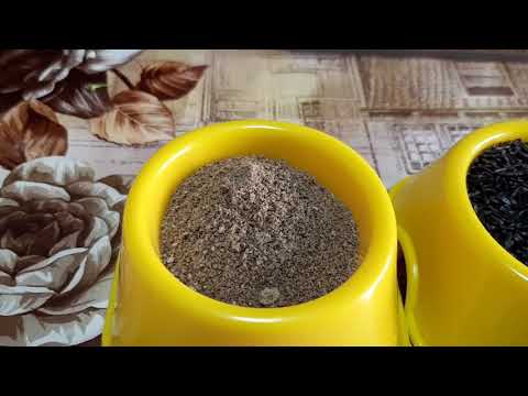 Preventive treatment of canaries. Профилактическое лечение канареек.