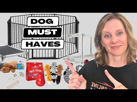 10 Things You'll Need for Your New Dog