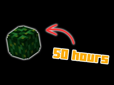 This is the Easiest Skill in Hypixel Skyblock
