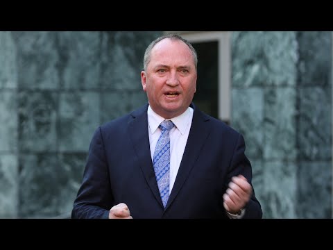 Barnaby Joyce made the move to One Nation for ‘all the wrong reasons’