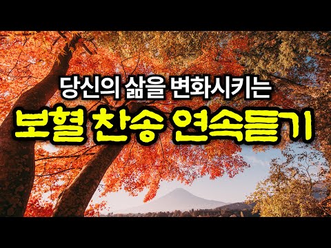 [보혈찬송모음] 죄 짐 맡은 우리 구주 | 보혈의 능력을 선포 | 기도와 명상 | 눈물로 기도하며 불렀던 그날의 찬양 | 새벽기도용 3시간 연속재생 | 중간광고없음 | Hymn