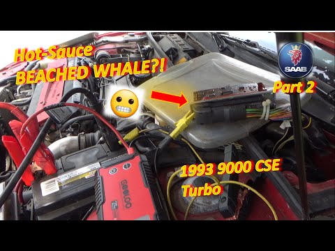 (Pt 2) Hot-Sauce SAAB...DEAD for 6 MONTHS? ('93 9000 CSE Turbo)