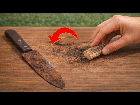 No One Told You Wooden Sticks Could Restore a Completely Rusted Knife