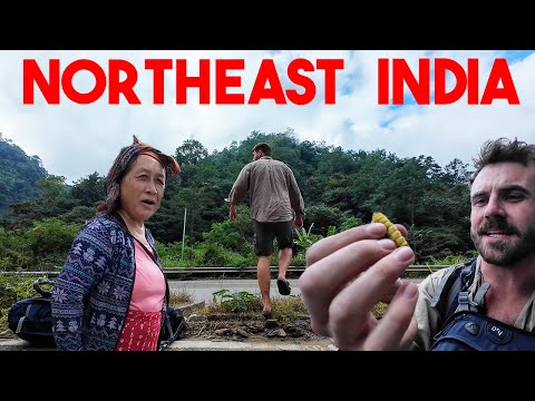Is This Really India?! Nagaland (The Unexplored State)