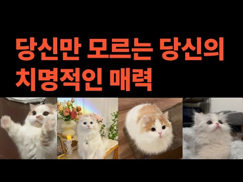 [타로💛] 🌹이 매력 때문에 사람들이 당신을 잊지 못합니다✨💛