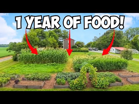 How a 1/8 Acre Garden Feeds a Family of 6 ALL YEAR!