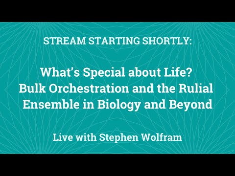 What’s Special about Life? Bulk Orchestration and the Rulial Ensemble in Biology and Beyond