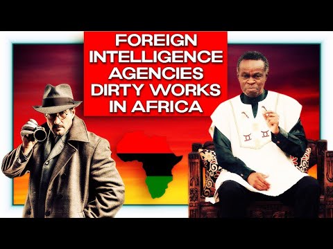 Foreign intelligence agencies long mission to destabilize Africa - Prof Plo Lumumba explains