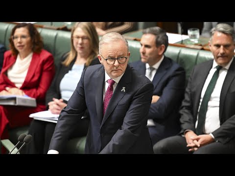 Albanese govt ‘100 per cent morally responsible’ for allowing Jew hatred to emerge in Australia