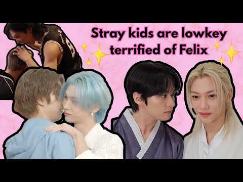 just stray kıds being lowkey terrified of felix [skz funny moments]