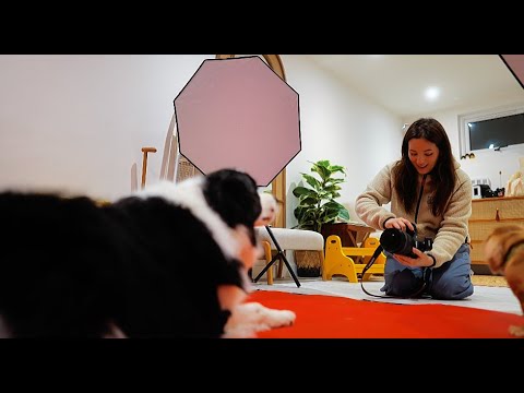 Canon R5 ii and dogs?