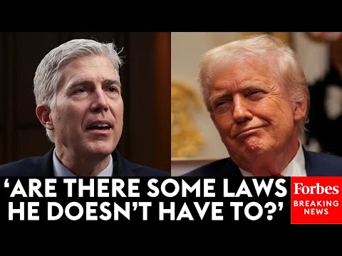 'I Didn't Ask That': Neil Gorsuch Doesn't Let Up On Attorney About President's Duty To Execute Laws