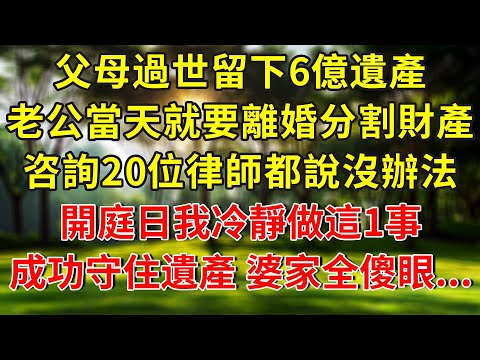 父母過世留下6億遺產，老公當天就起訴離婚分割財產，咨詢20位律師都說沒辦法，開庭日我冷靜做這1事，成功守住遺產，婆家全員傻眼...#生活經驗 #人生感悟 #故事分享 #故事頻道 #正能量 #情感