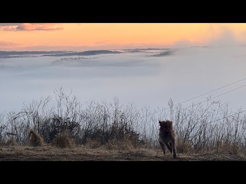 Good Morning from East Tennessee Incredible Tiny Homes The Mountain Tiny Home Community 🌅🌷☀️☁️