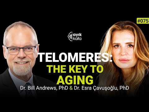 HUMAN TELAMORASE GENE THERAPY SHOWS PROMISE FOR REVERSING AGING | 075 DR. BILL ANDREWS, PHD