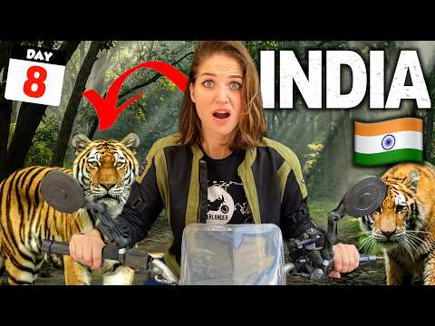 8๐ฎ๐ณ Crossing into Karnataka Through a TIGER RESERVE ๐ฑ Motorcycling India