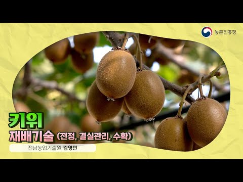 40. 키위 재배기술