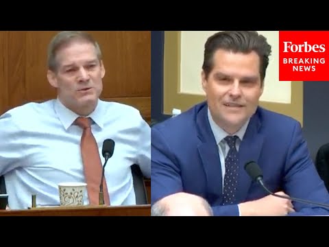 Gaetz, Jordan Question FBI Cyber Official About Hunter Biden At House Judiciary Committee Hearing