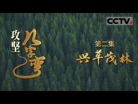 《攻坚几字弯》02 兴草茂林：两行树护住60亿斤粮 黄土高原村庄逆袭成陕北江南【CCTV纪录】