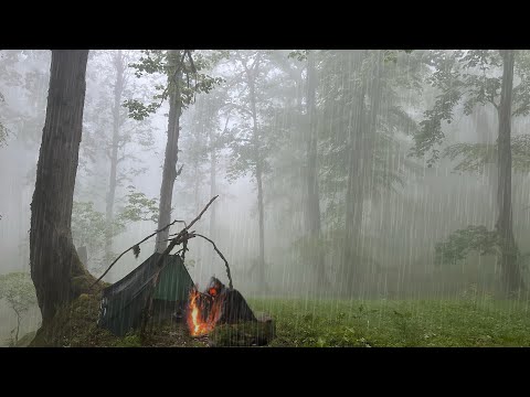 Two days heavy rain camping ⛺️ relaxing rain sounds in the foggy forest