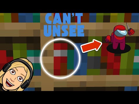 Insane Minecraft things you can’t unsee