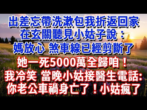 出差忘帶洗漱包我折返回家，在玄關聽見小姑子說：媽放心，煞車線已經剪斷了，她一死5000萬全歸咱！我冷笑轉身，當晚小姑接到醫生電話：你老公車禍身亡了！小姑瘋了#小魚故事會#為人處世#人生感悟#中老年生活