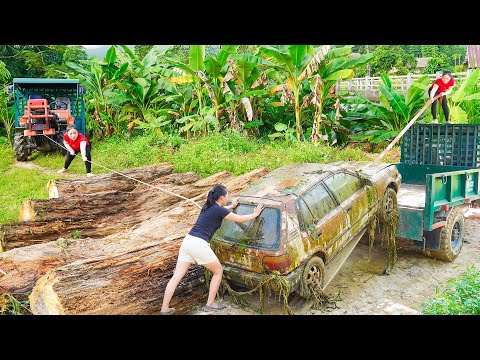 Use Truck to 1000+ Pull Giant Logs Ashore, Transport the Rusty Car From The Rive