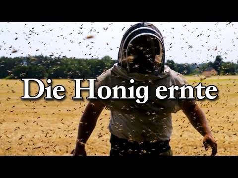 The extreme everyday life of migratory beekeepers: 1 ton of honey in 60 minutes