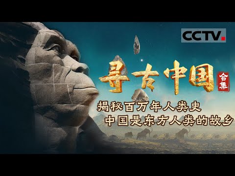 揭秘百万年人类史！继“北京人”之后 北京周口店遗址又发现了哪些东方古人类？《寻古中国》东方人类百万 合集【CCTV纪录】