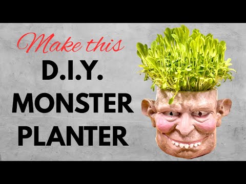 Monster Planter - BEGINNER Friendly Microgreens Container - Halloween 2025!