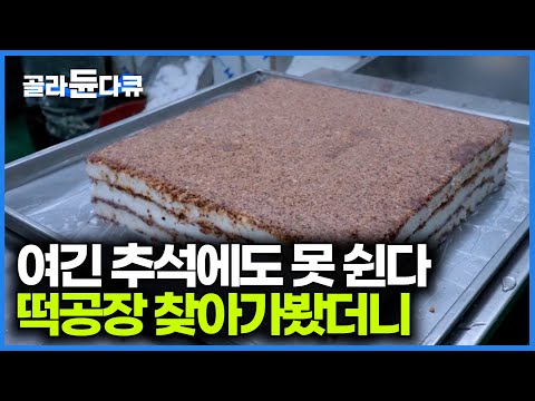 역대급 추석에 송편만 2톤 빚는다. 명절에 더 바빠지는 떡공장을 찾아가봤더니｜극한직업｜#골라듄다큐