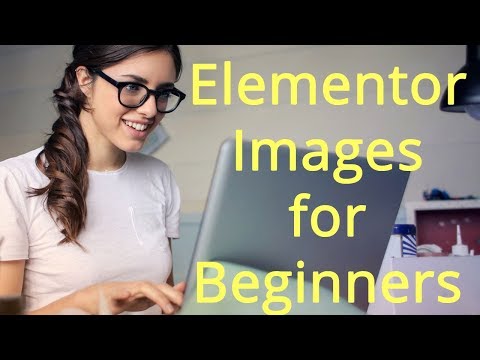 Elementor Beginner Series 4 - Insert, Size and Crop Images Tutorial