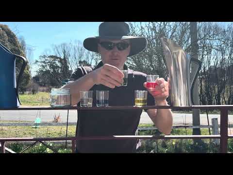 Voting by colour in the Kiama By-election 