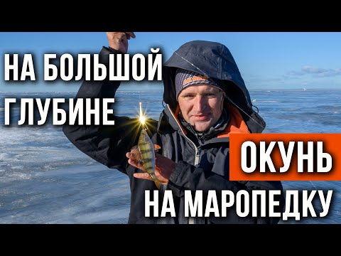 Ловля окуня на "маропедку" на большой глубине
