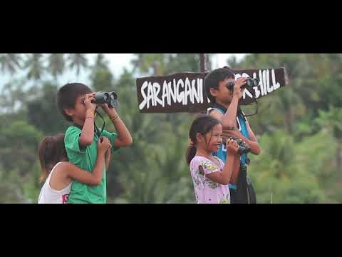 Autumn Raptor Migration 2020