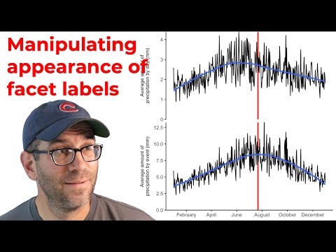Stylizing the appearance of facet labels with ggplot2's facet_wrap (CC236)