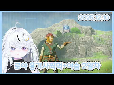 25.12.10 그래서 나 어디로 가야해? [젤다의 전설 : 야생의 숨결]🫧