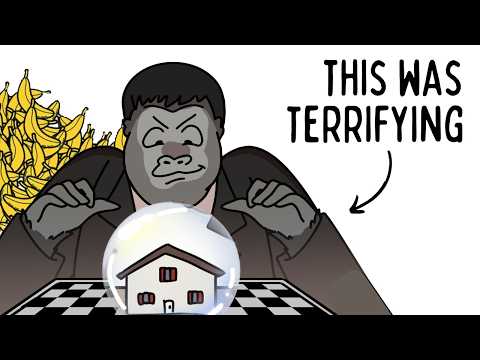 The 2008 Financial Crisis from the Winner's Perspective