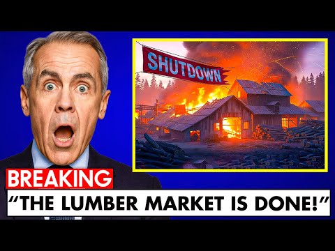 Canada In CHAOS As Lumber Market BREAKS DOWN! THIS IS SHOCKING!