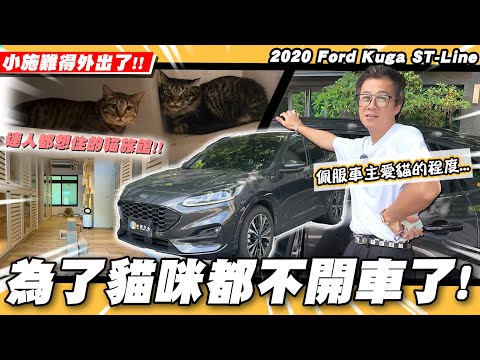 【小施又來了】誰能想到!叫得動小施出馬收車的竟然不是車!／2020 Ford Kuga  ST-Line【小施汽車】
