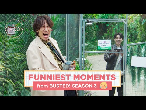 Funniest moments of Busted! Season 3 [ENG SUB]