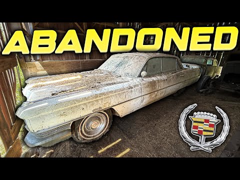 Cadillac Sedan DeVille ABANDONED Since 1991! First Wash in 34 Years!