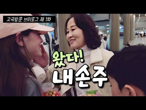 [고국방문 인간극장1부] 공짜로 한국오기 쉽지않네...🛩 승무원 경진씨의 고국방문 브이로그 제 1화
