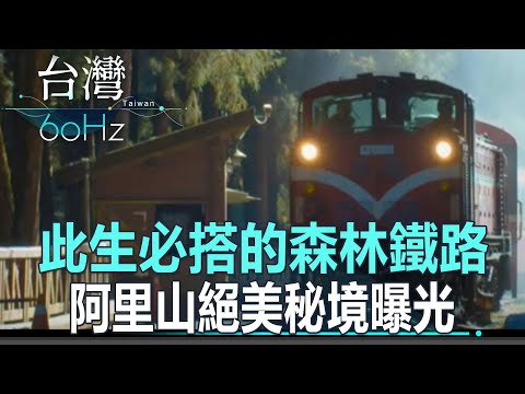【台灣60Hz】此生必搭的森林鐵路 阿里山絕美秘境曝光！｜廖慶學 2024.10.25 part1 @NewTaiwanexperience