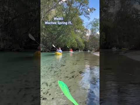 #kayak #spring #river #shorts #youtubeshorts #weekiwachee #yolo #outdooradventure