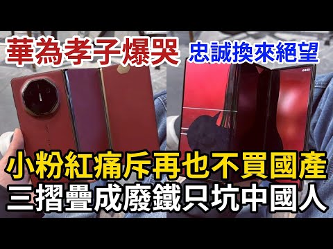 華為孝子爆哭，忠誠換來絕望，三摺疊成廢鐵，小粉紅痛斥再也不買國產，中國人只坑自己人成笑柄，