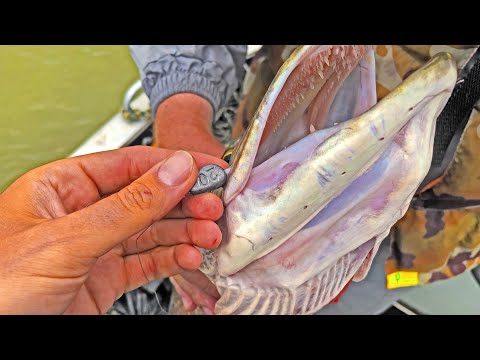 Попали на ЖОР ЩУКИ, но ЧТО Я СДЕЛАЛ НЕ ТАК!? Нормальная рыбалка на спиннинг! Обь