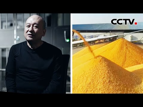 直接危害粮食安全!接受民营粮库请托收受数百万元 原粮食局局长坦然受贿:感觉这么多钱也该给我《持续发力纵深推进》第2集 政治监督保障 | CCTV「持续发力纵深推进」