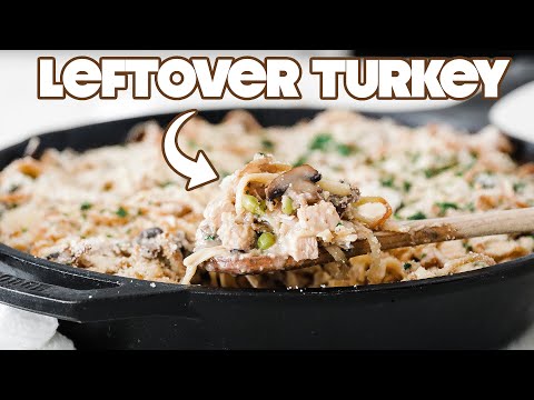 Easy Leftover Turkey Tetrazzini Recipe